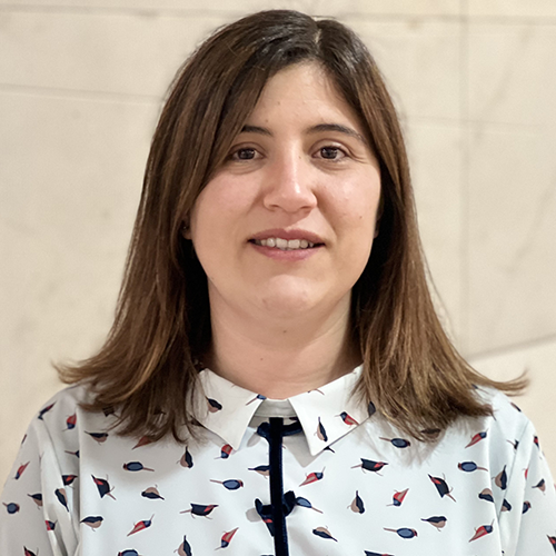 monica-azevedo_500