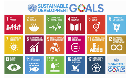 Universidade Portucalense integra rede mundial da ONU para o desenvolvimento sustentável 