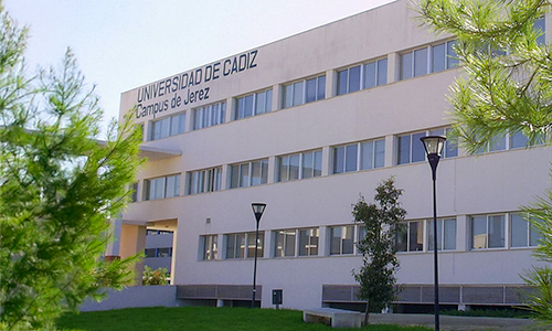 Reforço da cooperação internacional com a Universidad de Cádiz