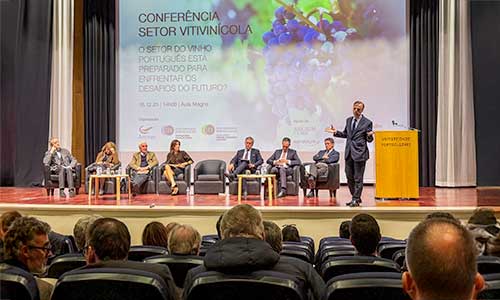 Desafios futuros do setor do vinho português